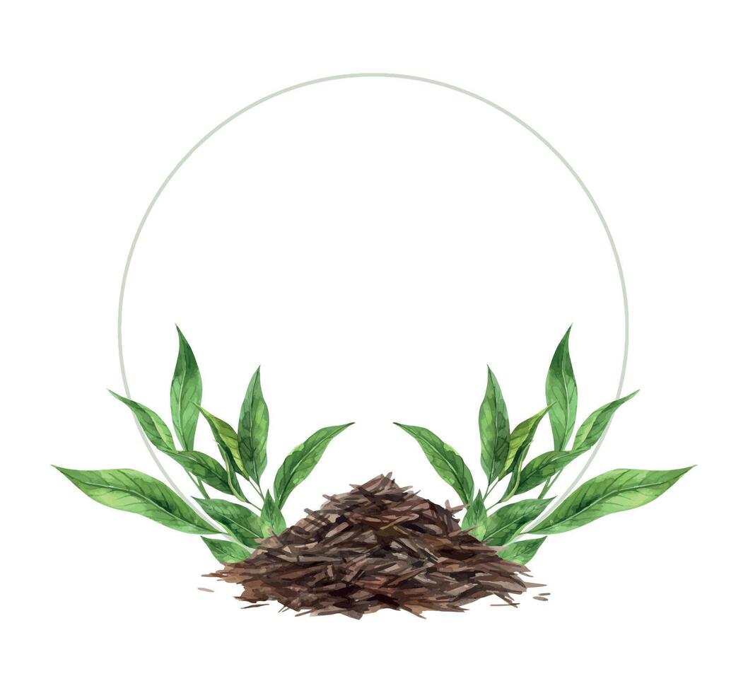 acquerello telaio con un' diapositiva di asciutto tè e verde le foglie. il illustrazione è mano disegnato su un isolato sfondo. disegno per menù disegno, confezione, manifesto, sito web, tessile, inviti vettore
