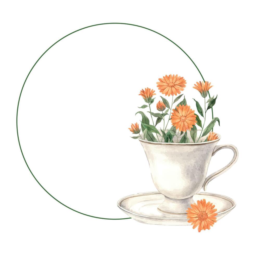 acquerello tè il giro telaio con ceramica Vintage ▾ boccale e calendula. illustrazione è mano disegnato, adatto per menù disegno, confezione, manifesto, sito web, tessile, invito, opuscolo, tessile vettore