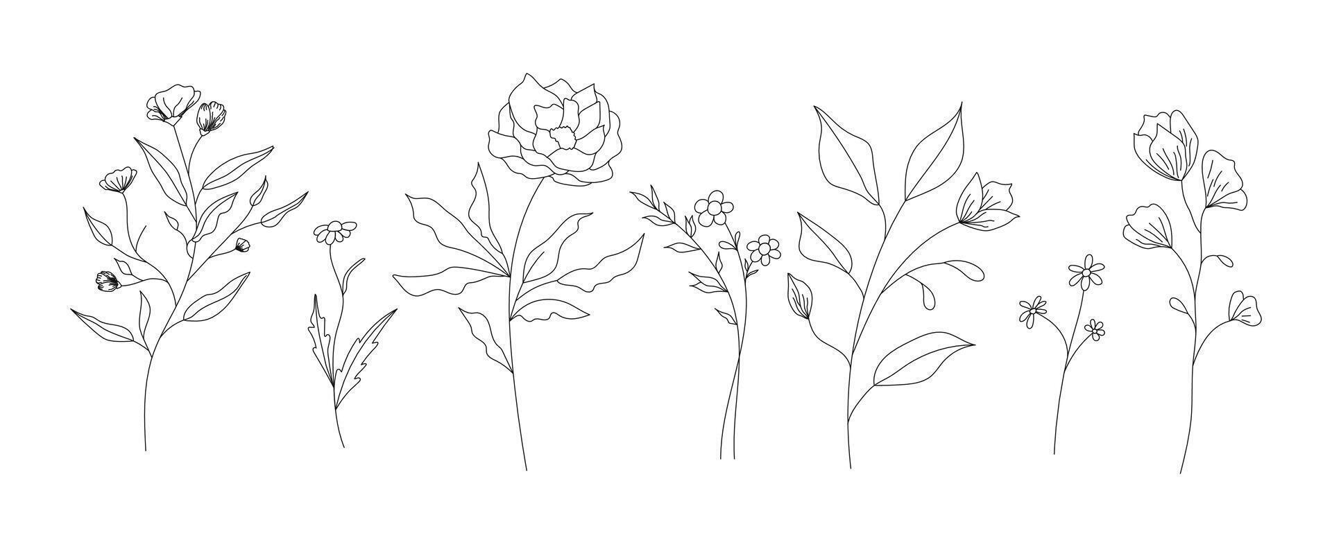 mano disegnato selvaggio campo flora, fiori, foglie, erbe aromatiche, impianti, rami. minimo floreale botanico linea arte. vettore illustrazione per logo o tatuaggio, inviti, Salva il Data carta