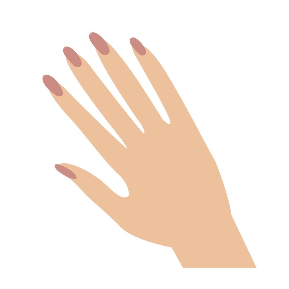 femmina mano con manicure alla moda chiodo vettore illustrazione