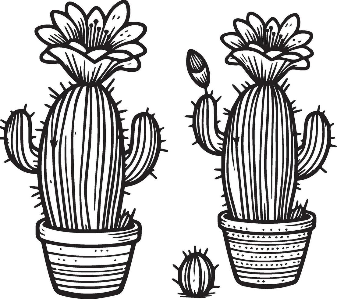 matita cactus disegno, matita schizzo cactus disegno, cactus disegno nero e bianca, semplice cactus disegno nero e bianca carino cactus clipart nero e bianca, cactus linea arte vettore