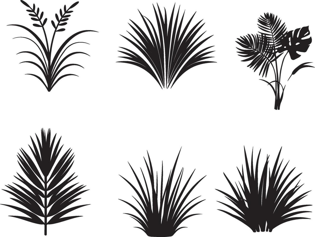 impostato di tropicale pianta e erba nel silhouette vettore. su isolato bianca sfondo vettore