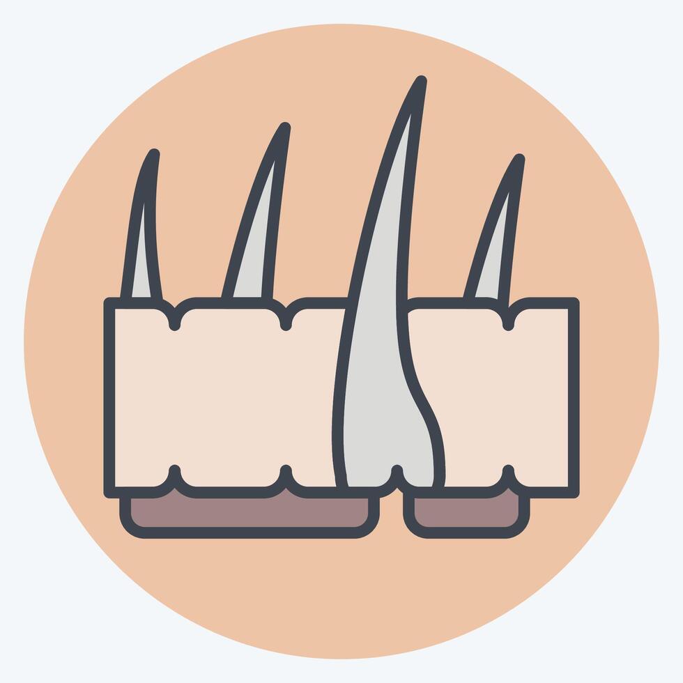 icona pelle. relazionato per umano organo simbolo. colore compagno stile. semplice design modificabile. semplice illustrazione vettore