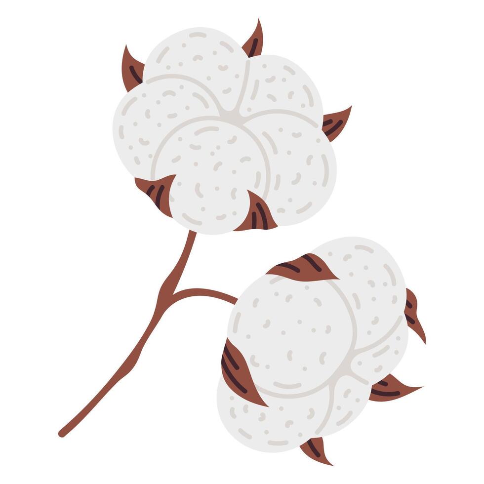 cartone animato cotone fiore. carino scarabocchio maturo bianca cotone fiore pianta, mano disegnato soffice palla isolato piatto vettore illustrazione su bianca sfondo