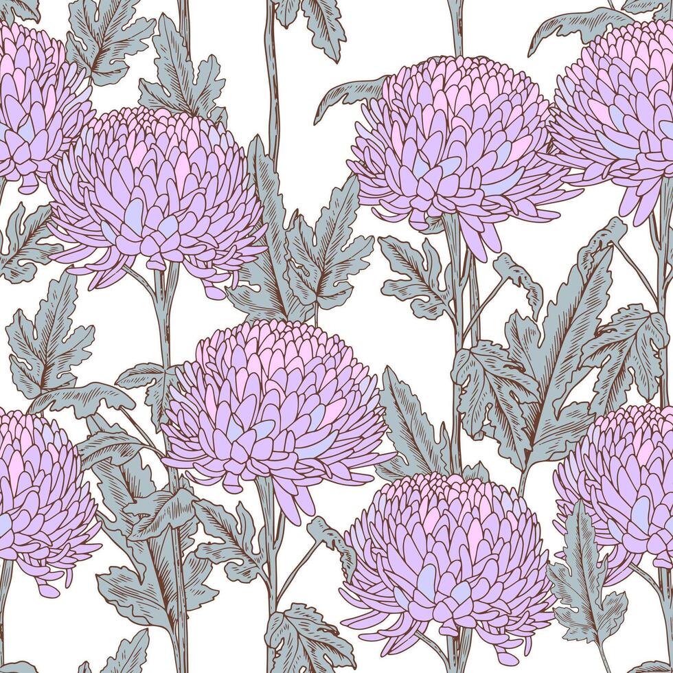 Vintage ▾ senza soluzione di continuità modello con viola crisantemo. elegante floreale struttura. botanico modello con lilla fiori. retrò illustrazione con schema vettore