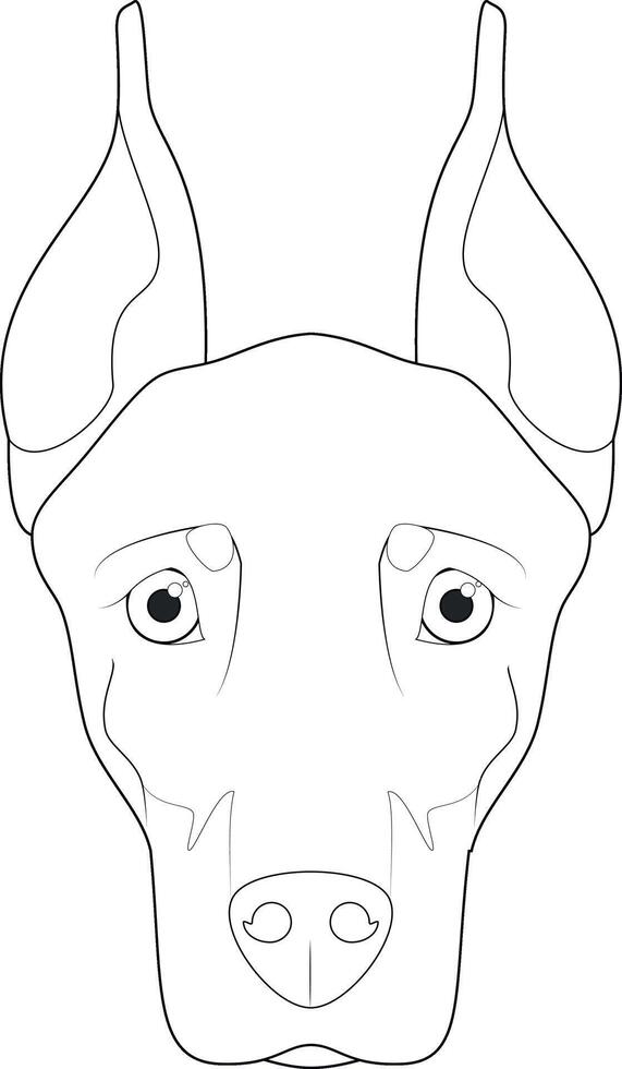dobermann cane facile colorazione cartone animato vettore illustrazione. isolato su bianca sfondo