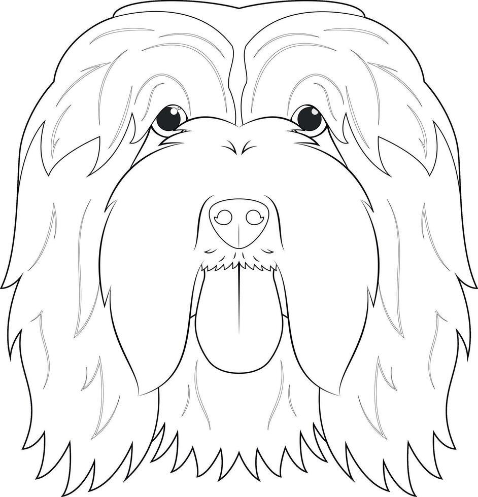 barbuto collie cane facile colorazione cartone animato vettore illustrazione. isolato su bianca sfondo