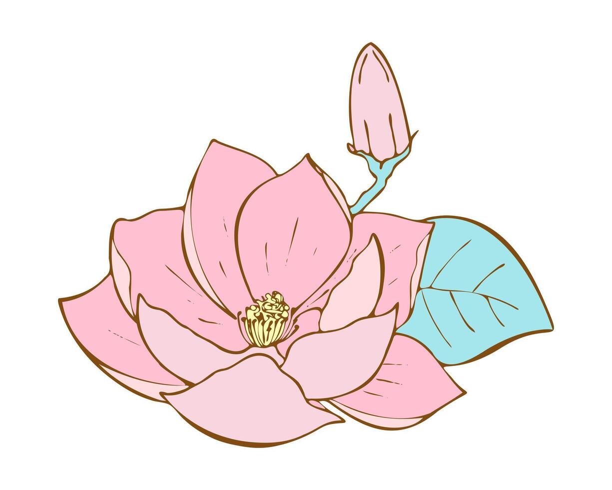 loto rosa fiore mano disegnato. acqua lilia isolato su bianca sfondo. scarabocchio disegno loto giglio per design. vettore