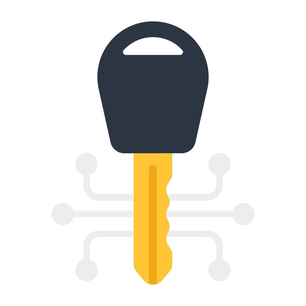 nodi collegato con chiave, piatto design icona di digitale chiave vettore