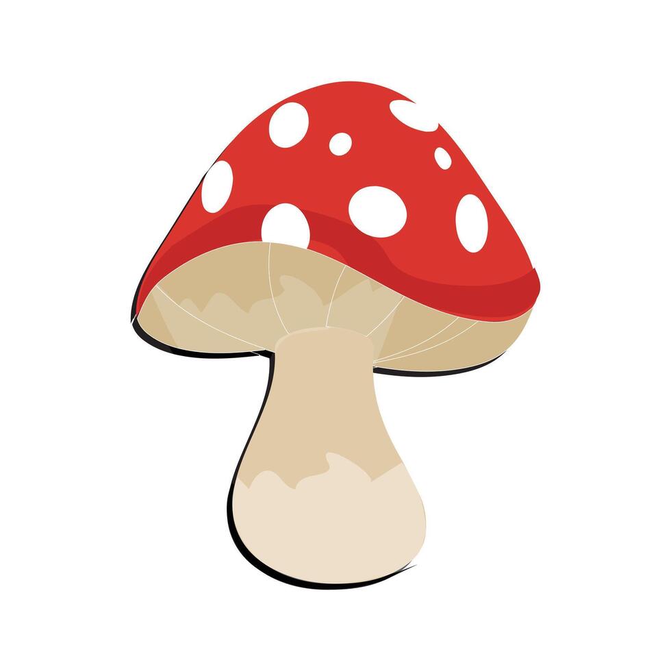 fungo piatto design cartone animato diverso funghi vettore illustrazione, selvaggio fungo simbolo segni, amanita velenoso. eps 10