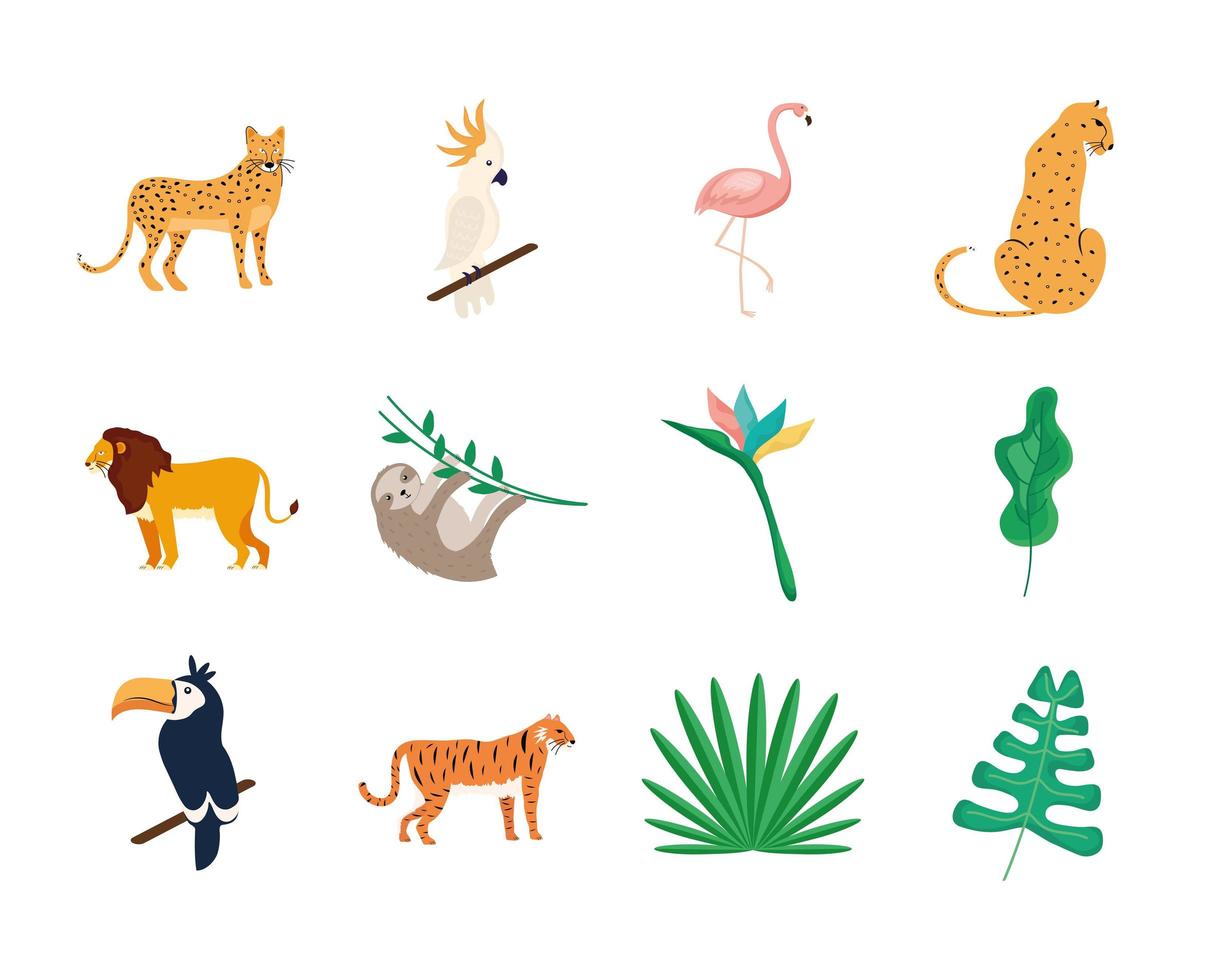 otto animali tropicali vettore