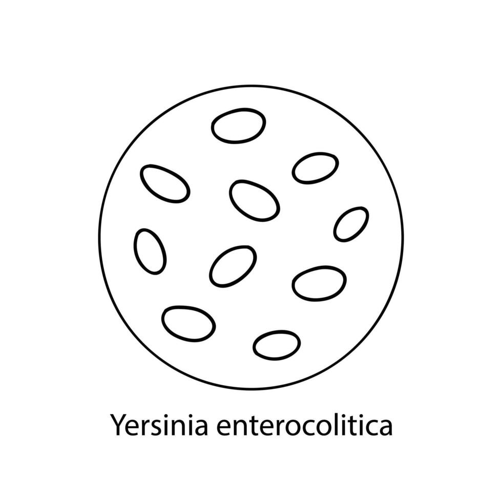 patogenicità batteri. batterico microrganismo. microbiologia, infografica. mano disegnato scarabocchio stile. vettore