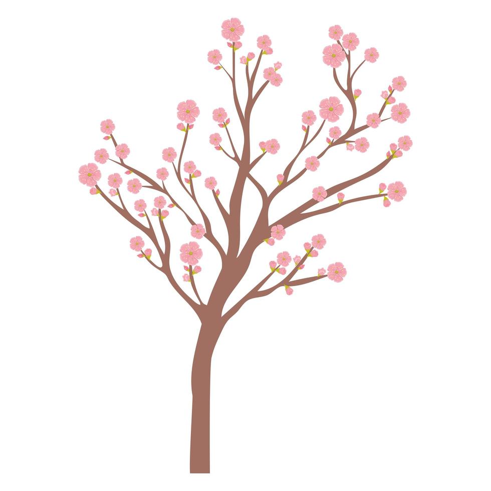 disegno dell'albero di sakura vettore