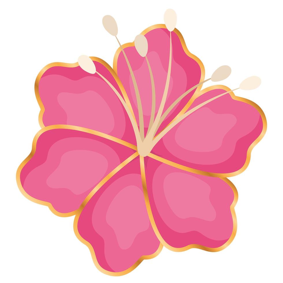 disegno vettoriale di fiori hawaiani rosa isolato