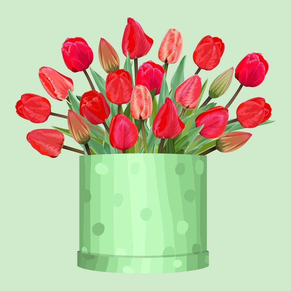 mazzo di rosso tulipani nel un' regalo scatola su un' verde sfondo vettore