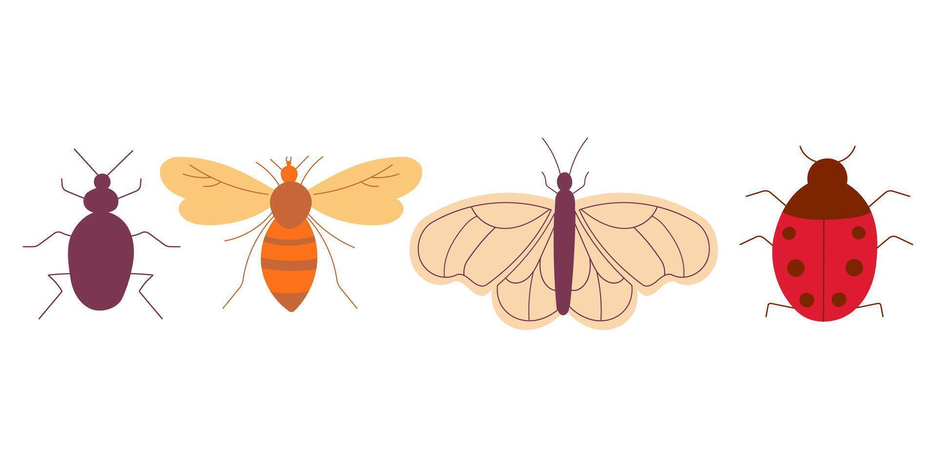 impostato colorato insetto scarafaggio, la farfalla, ape, coccinella vettore