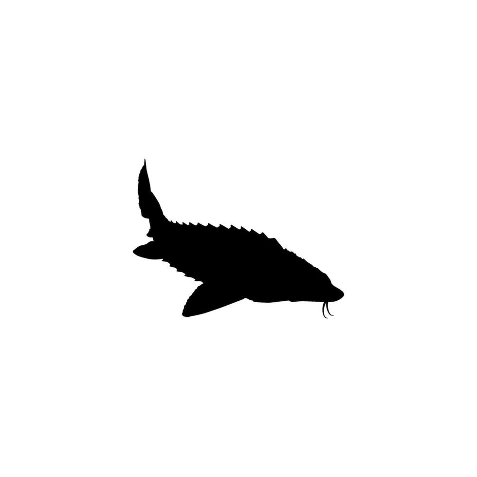 beluga storione o huso pesce silhouette, piatto stile, pesce quale produrre premio e costoso caviale, per logo genere, arte illustrazione, pittogramma, app, sito web o grafico design elemento. vettore