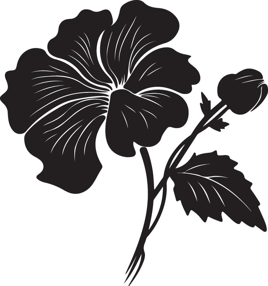 begonia fiore silhouette vettore illustrazione bianca sfondo