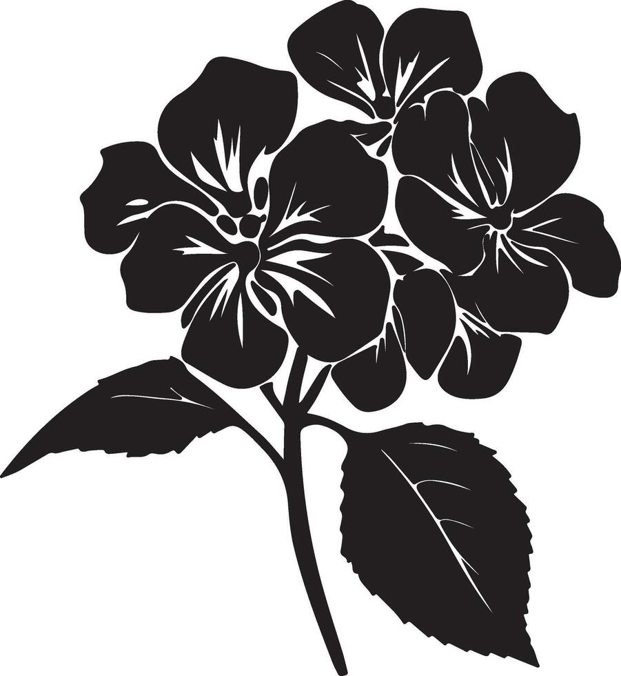 ortensia fiore silhouette vettore illustrazione bianca sfondo