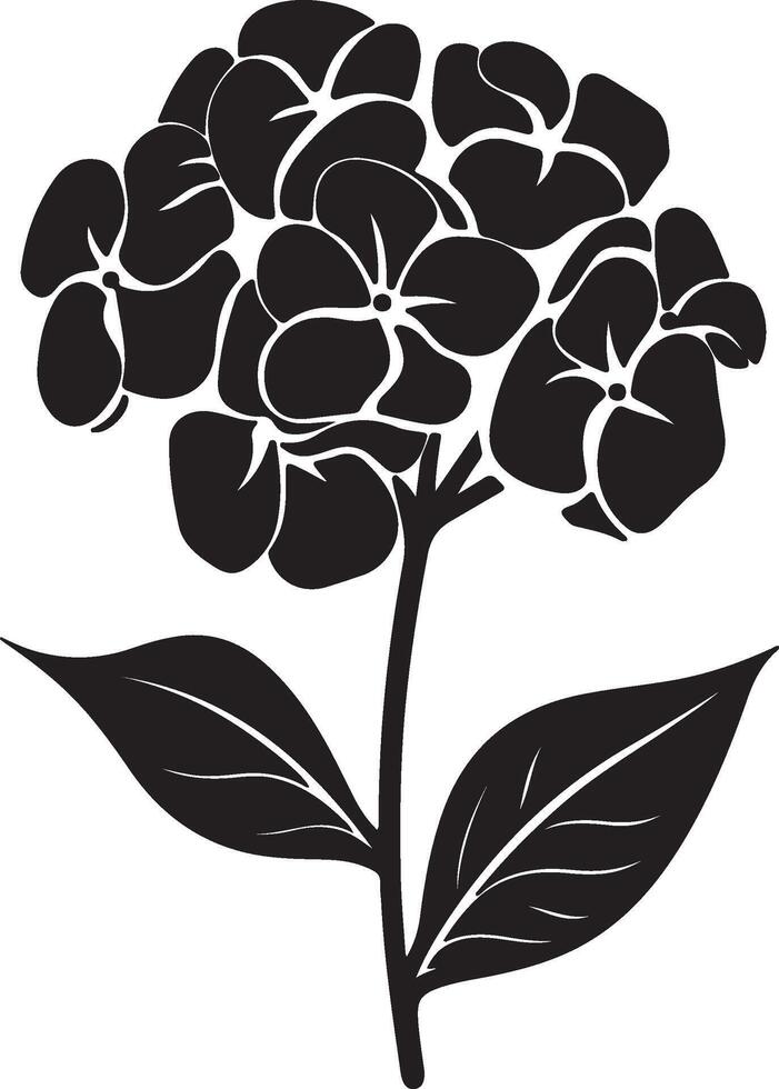 ortensia fiore silhouette vettore illustrazione bianca sfondo