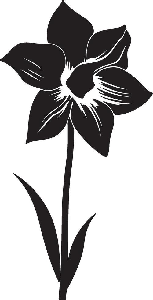 narciso fiore silhouette vettore illustrazione bianca sfondo