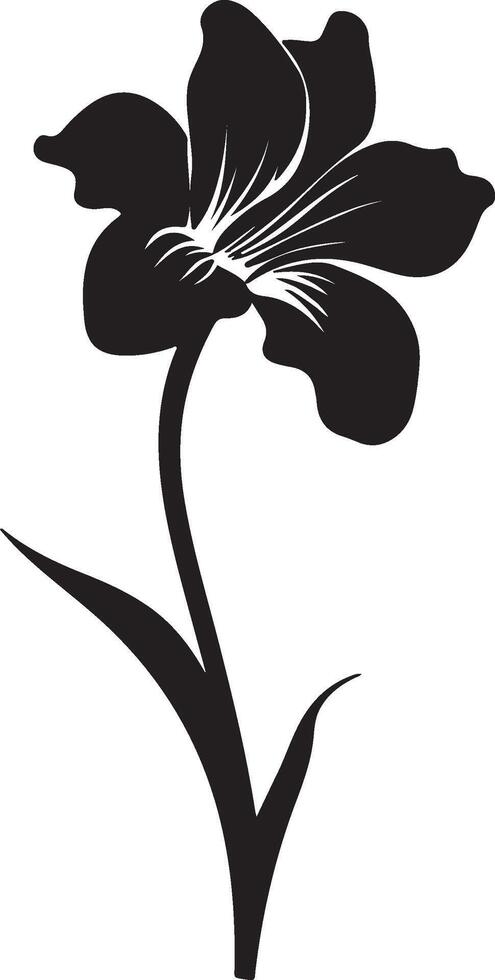 narciso fiore silhouette vettore illustrazione bianca sfondo