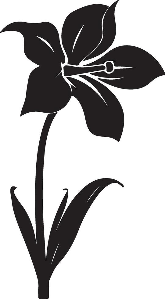 narciso fiore silhouette vettore illustrazione bianca sfondo