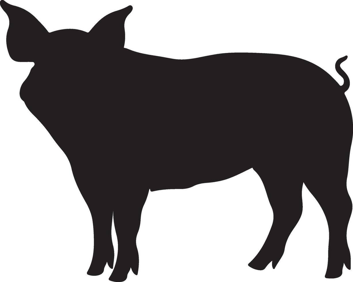 maiale silhouette vettore illustrazione bianca sfondo