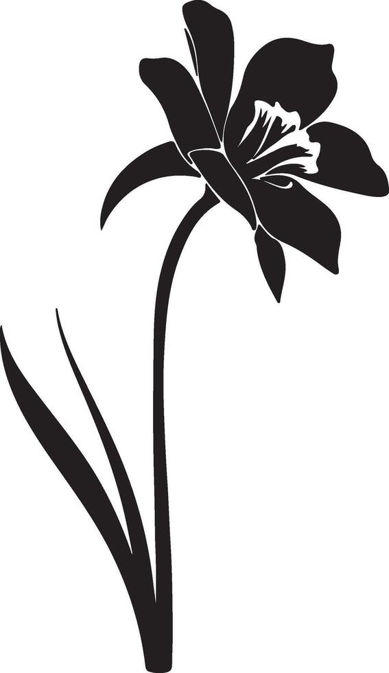 narciso fiore silhouette vettore illustrazione bianca sfondo