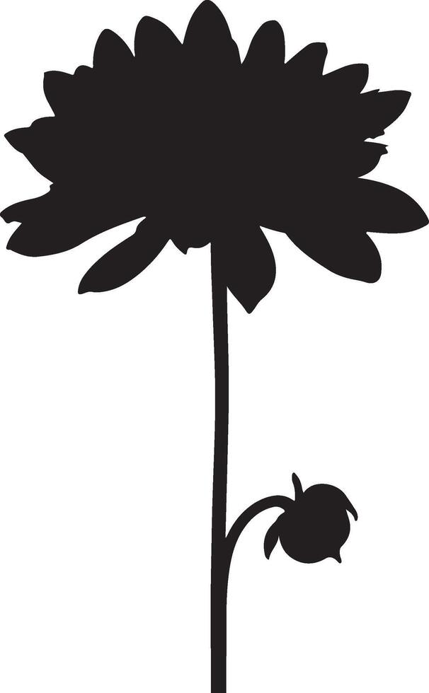 dalia fiore silhouette vettore illustrazione bianca sfondo