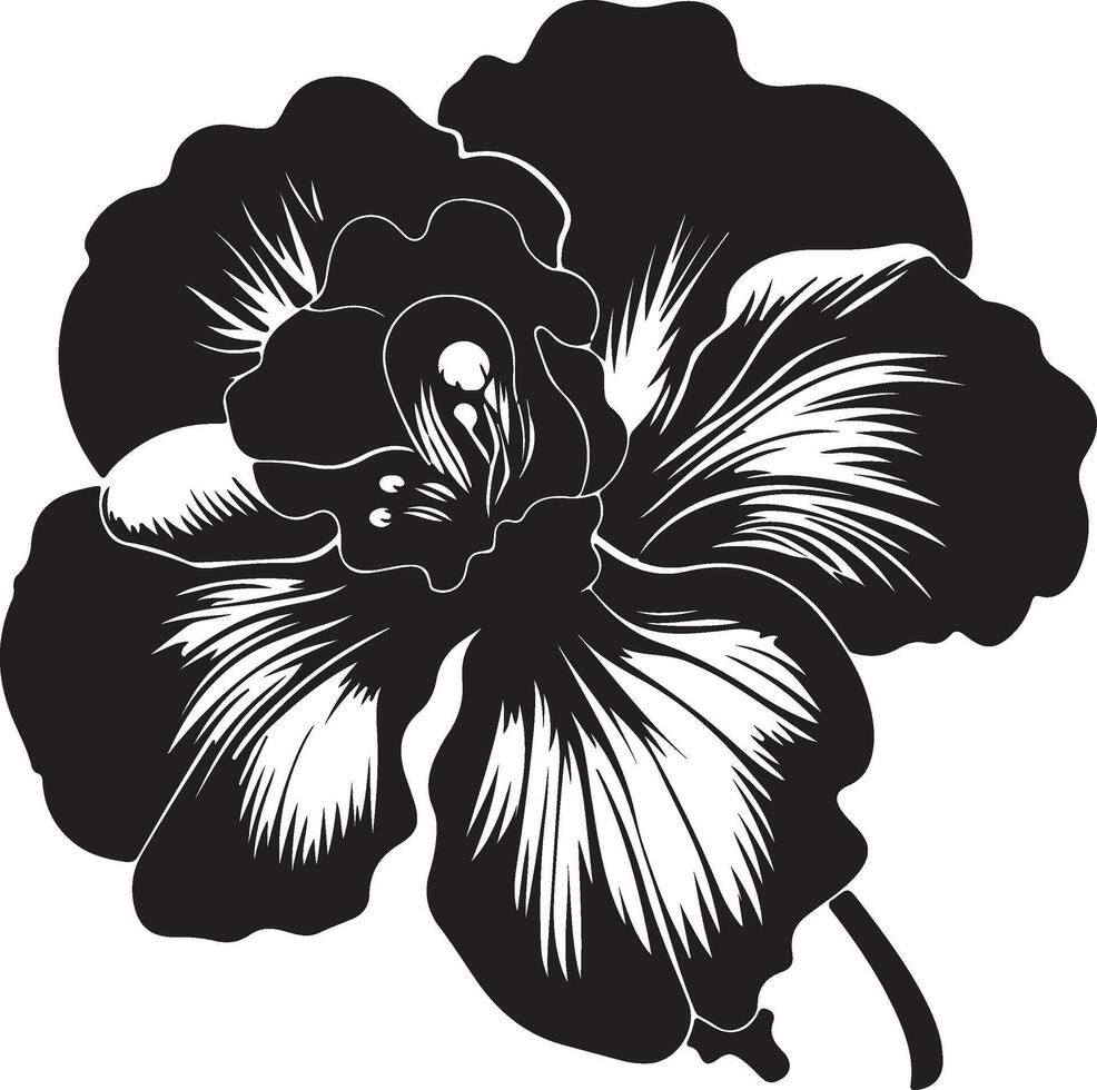 begonia fiore silhouette vettore illustrazione bianca sfondo