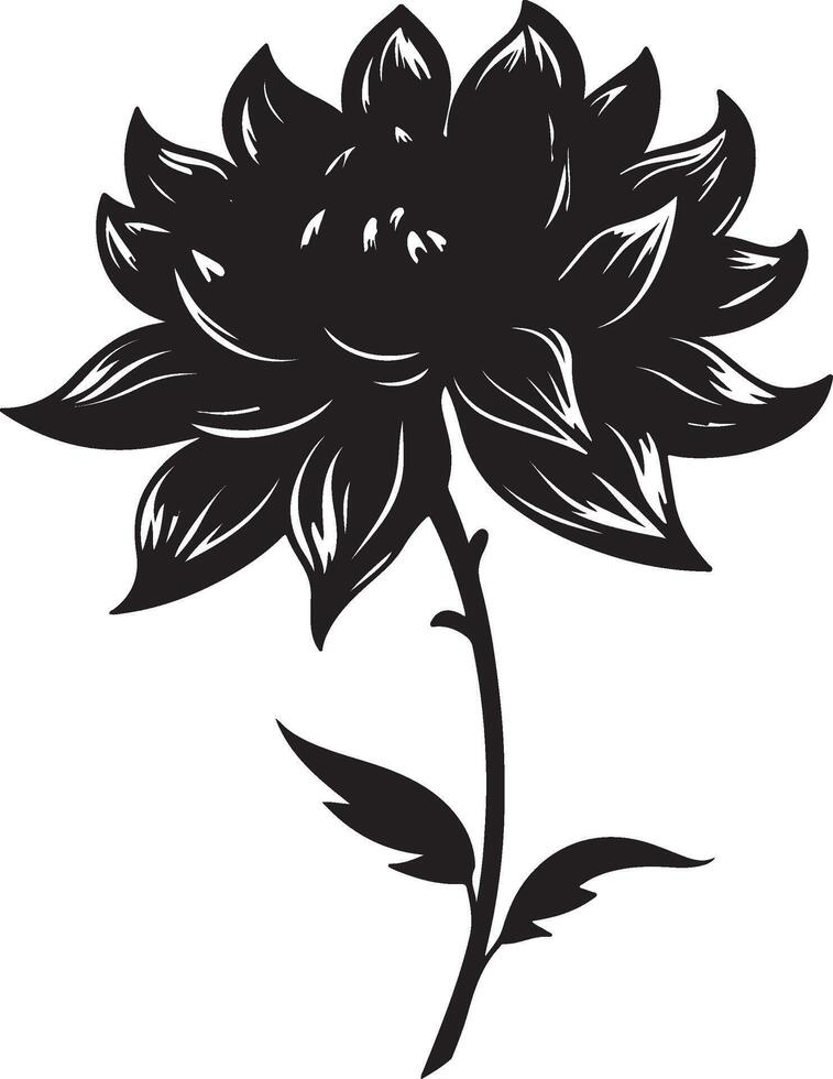 dalia fiore silhouette vettore illustrazione bianca sfondo