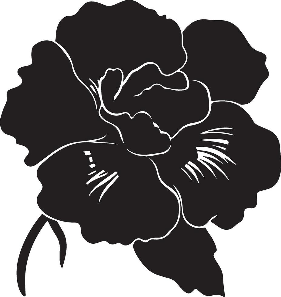 begonia fiore silhouette vettore illustrazione bianca sfondo