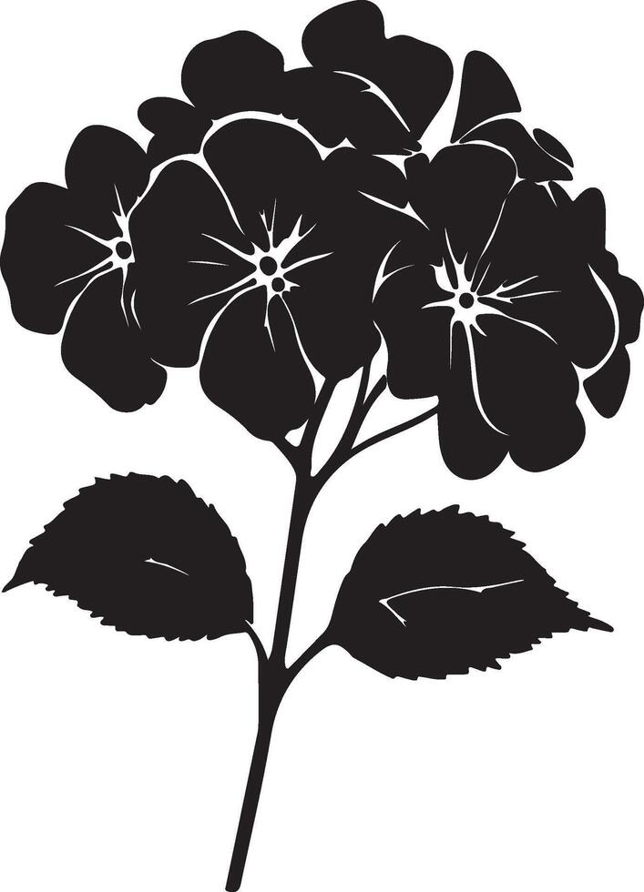 ortensia fiore silhouette vettore illustrazione bianca sfondo