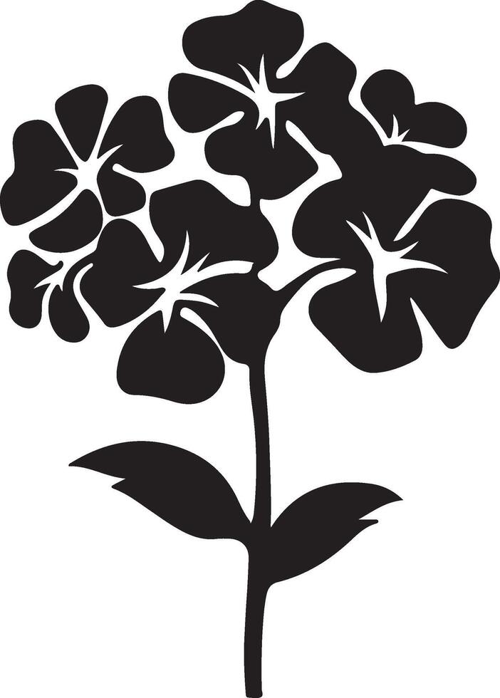 ortensia fiore silhouette vettore illustrazione bianca sfondo