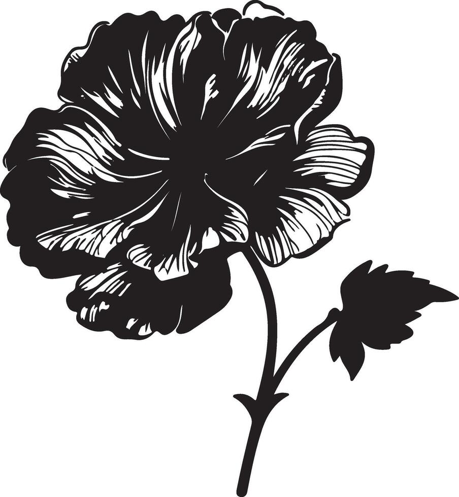 begonia fiore silhouette vettore illustrazione bianca sfondo