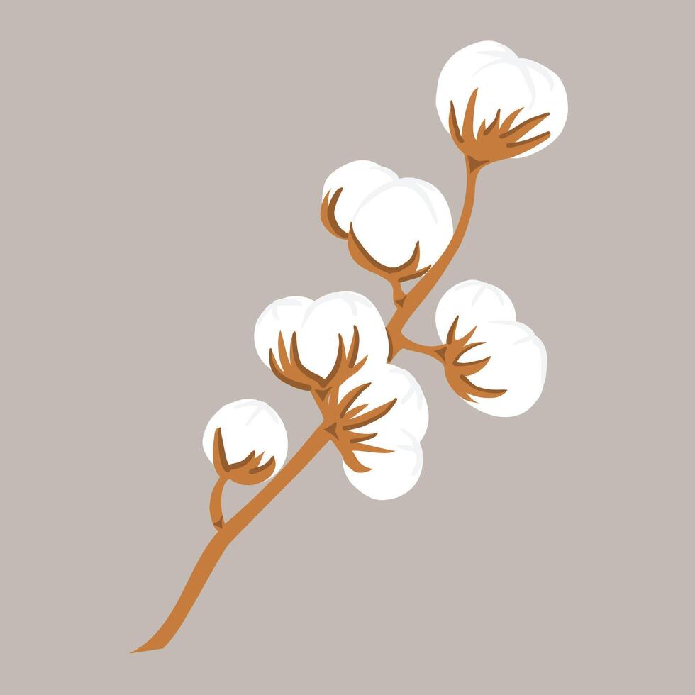 mano disegnato delicato ramo di cotone fiore pianta, vettore illustrazione