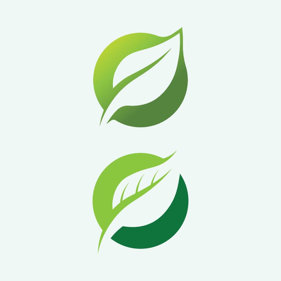 vettore di progettazione del logo della foglia per il modello di simbolo della natura modificabile, icona del vettore dell'elemento della natura dell'ecologia del logo della foglia verde.