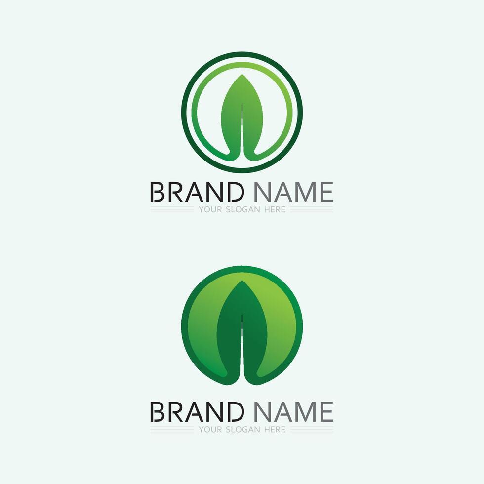 vettore di progettazione del logo della foglia per il modello di simbolo della natura modificabile, icona del vettore dell'elemento della natura dell'ecologia del logo della foglia verde.