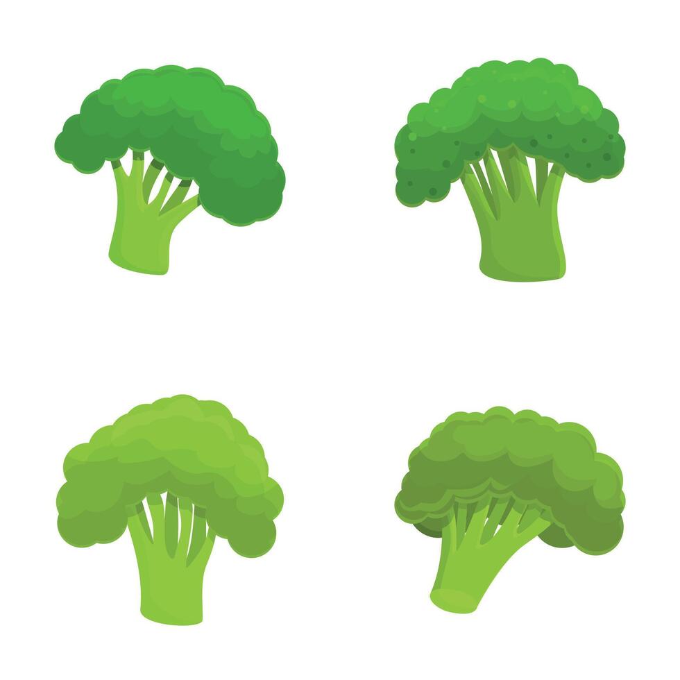 broccoli icone impostato cartone animato vettore. fresco verde broccoli cavolo su gambo vettore