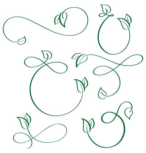 elementi calligrafici di design verde foglia icone vegano impostato su sfondo bianco vettore