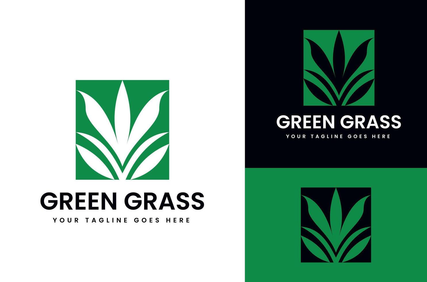illustrazione di verde erba in crescita nel piazza forma design con sfondo vettore