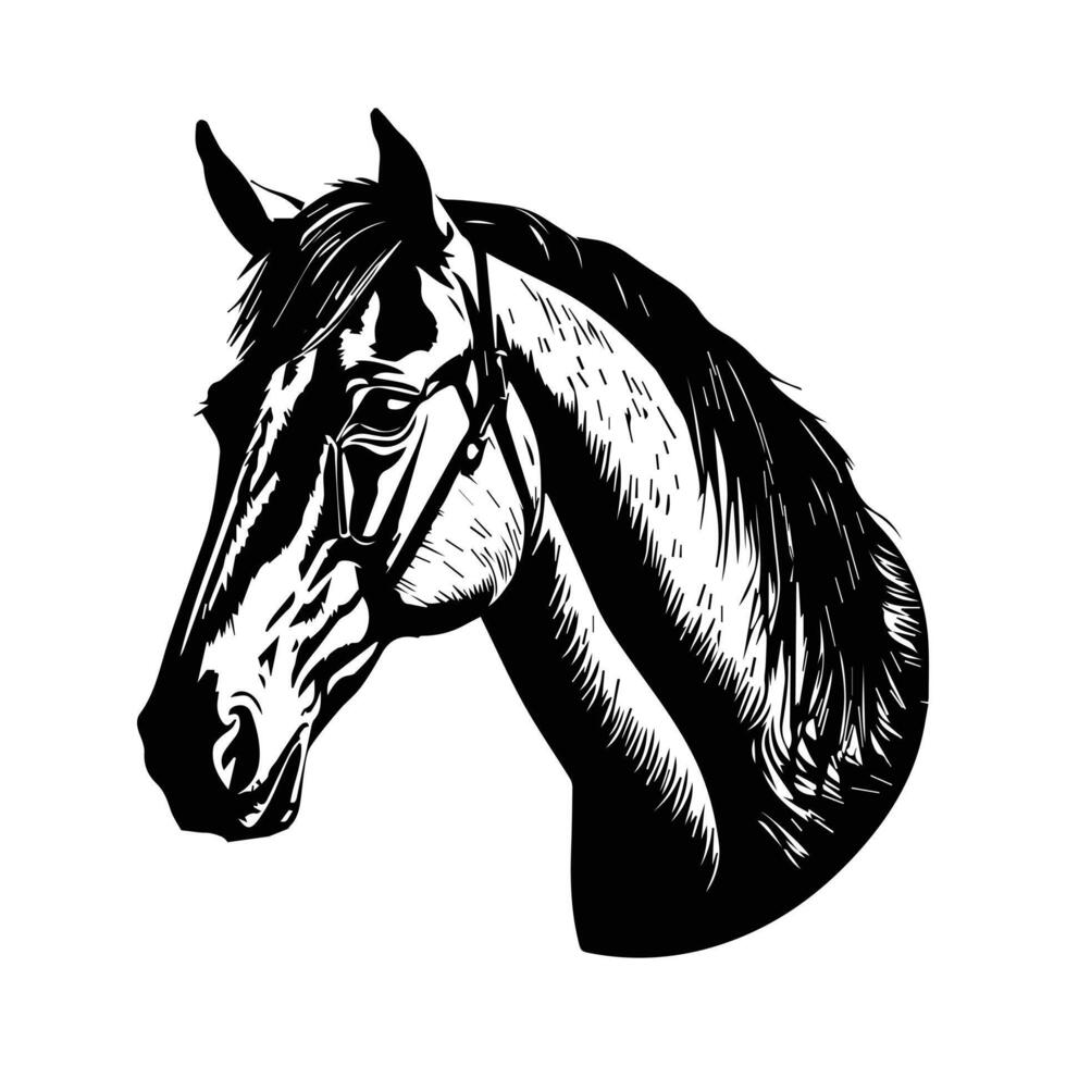 cavallo silhouette animale nero cavalli grafico vettore illustrazione