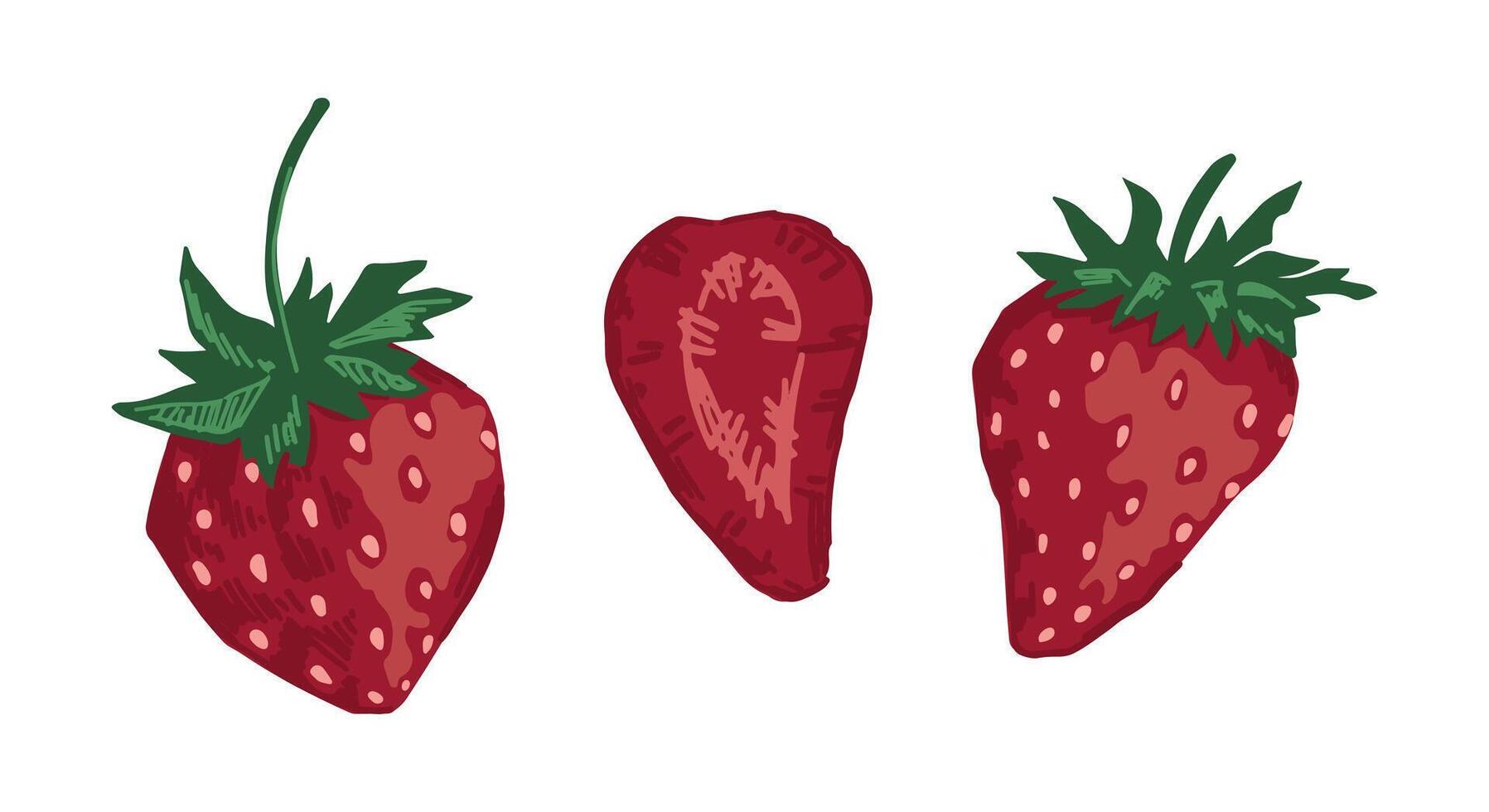 collezione di fragola frutti di bosco. scarabocchio impostato di estate commestibile raccolto. cartone animato vettore botanica illustrazione isolato su bianca.