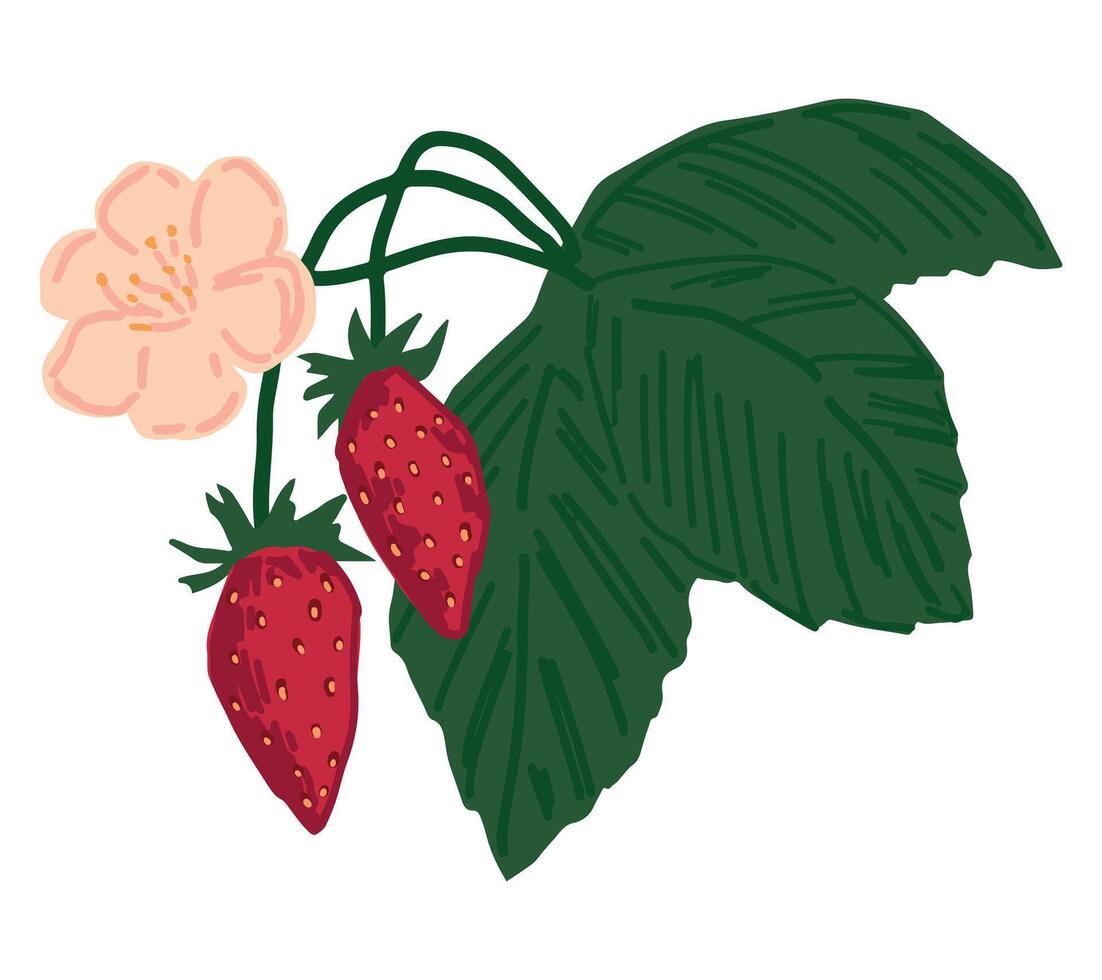 selvaggio fragole gambo frutti di bosco clipart. scarabocchio di estate commestibile raccolto. cartone animato vettore botanica illustrazione isolato su bianca sfondo.