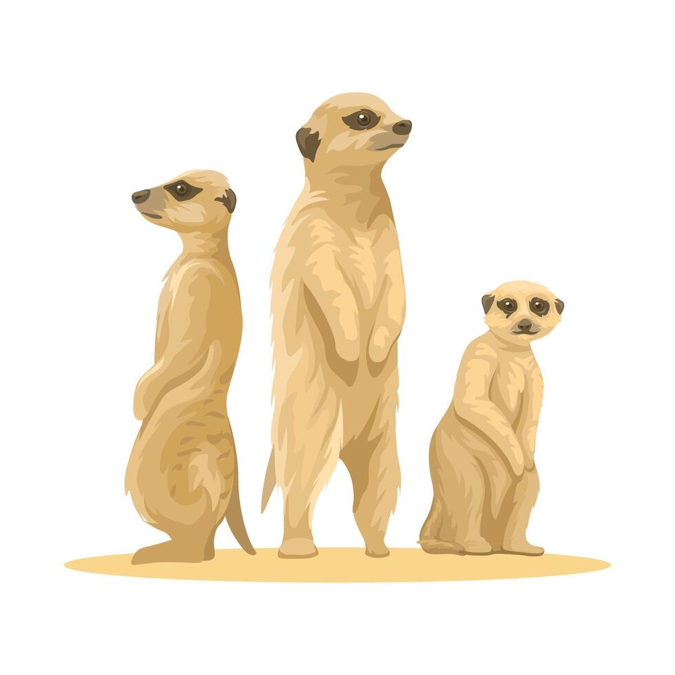 meerkat è un' piccolo africano mangusta animale specie illustrazione vettore