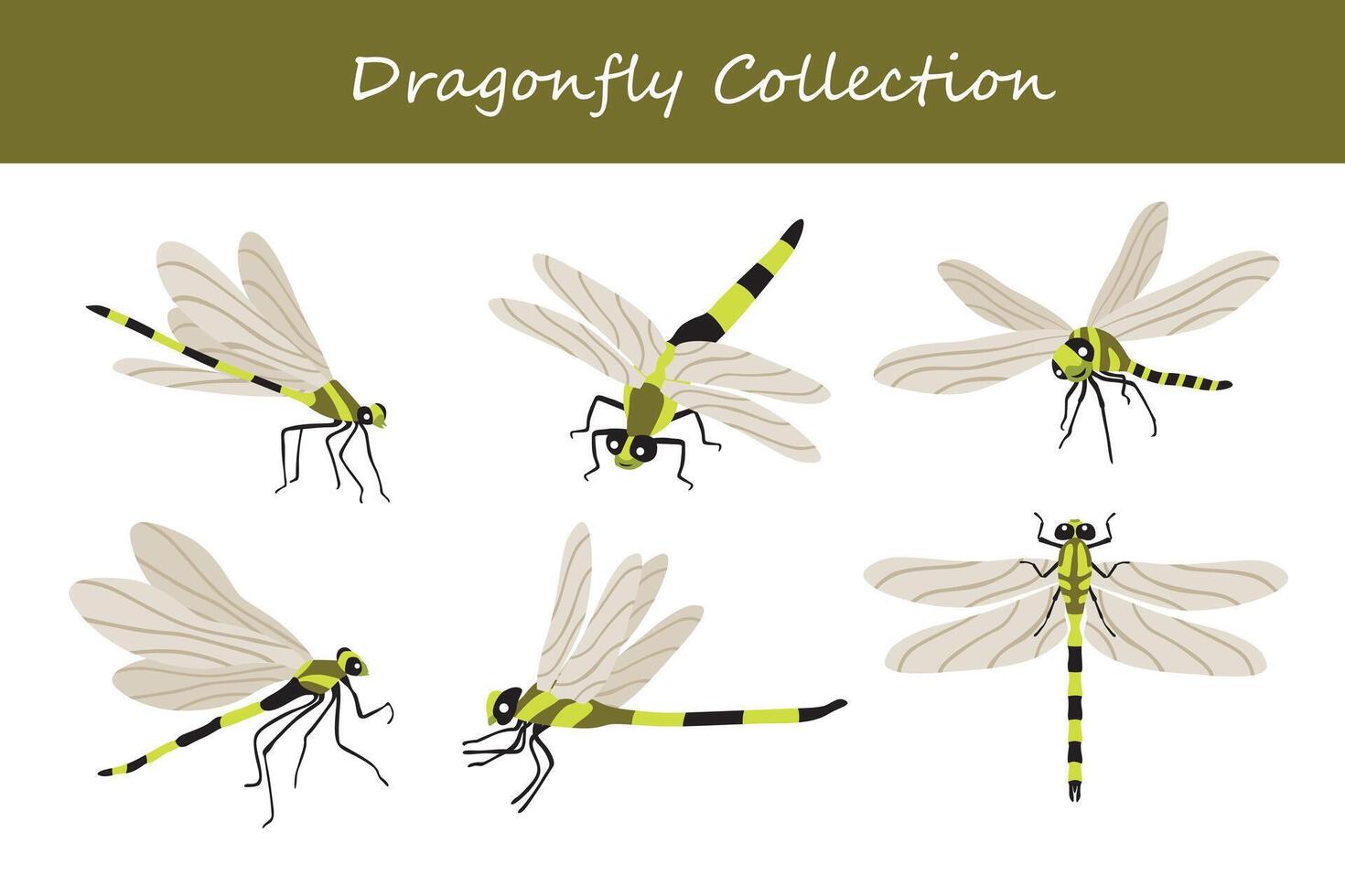 libellula vettore illustrazione impostare. carino libellula isolato su bianca sfondo.