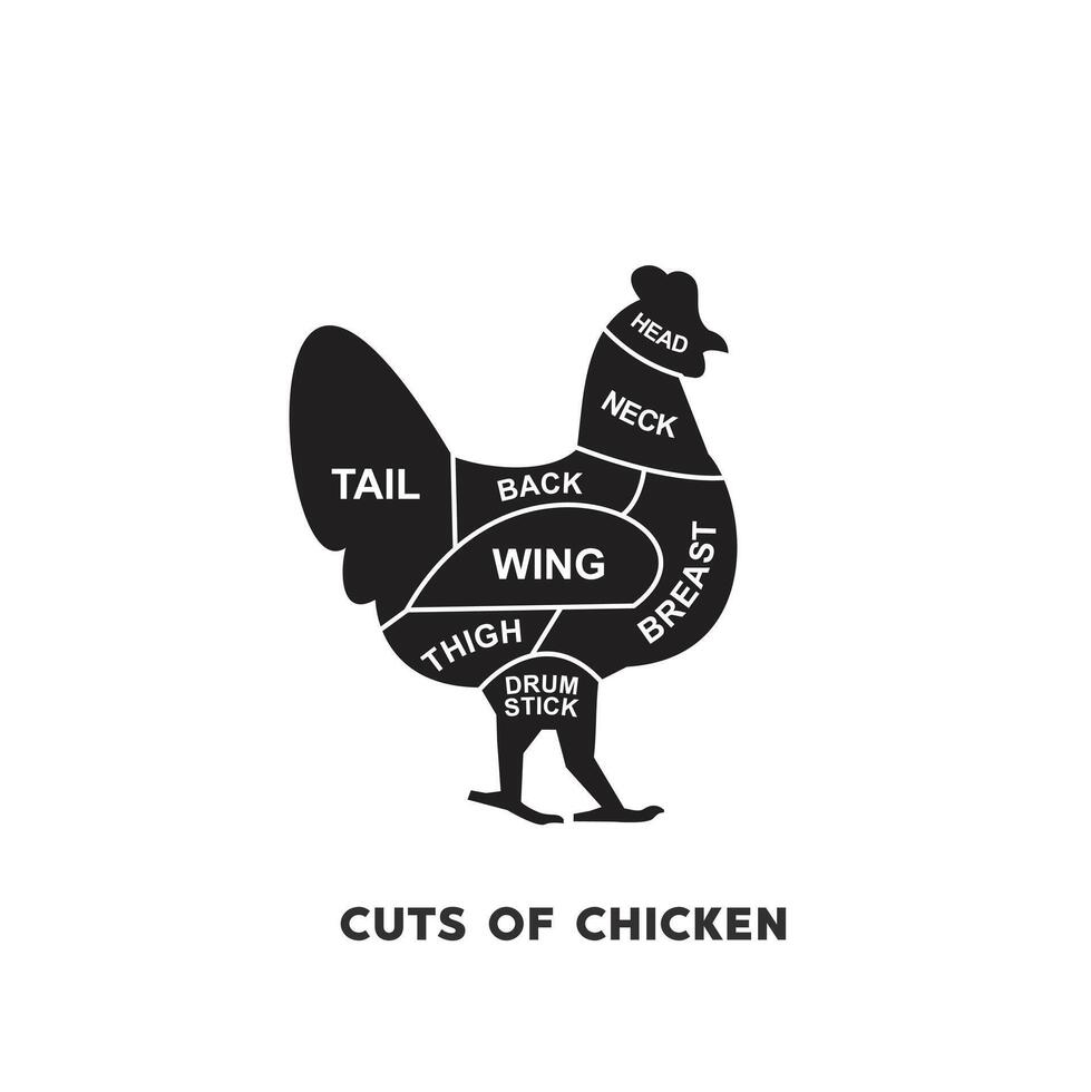 vettore illustrazione guida carne tagli impostare. pollo macellaio manifesto diagrammi e schematico.