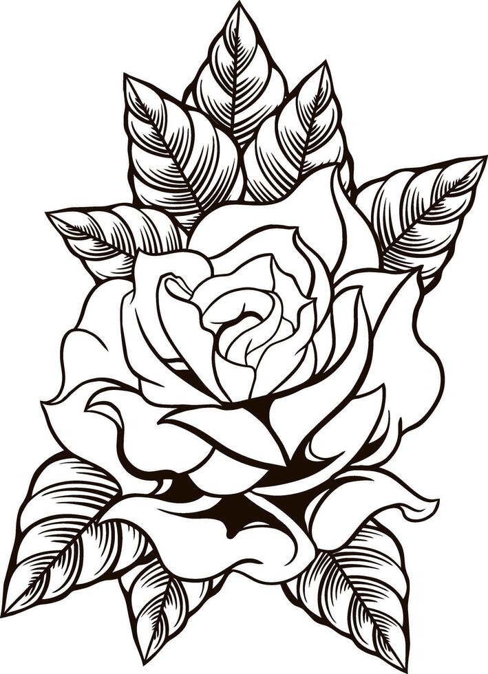 rosa fiore linea arte illustrazione vettore