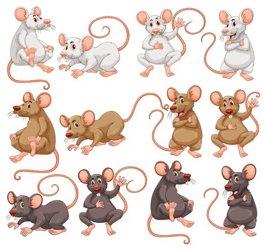 Mouse con diverso colore della pelliccia vettore